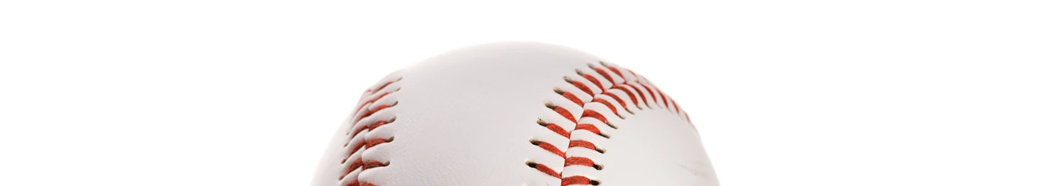 Pelota Beisbol